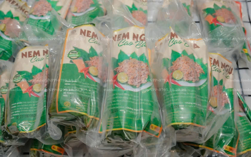 Nem ngựa hút chân không